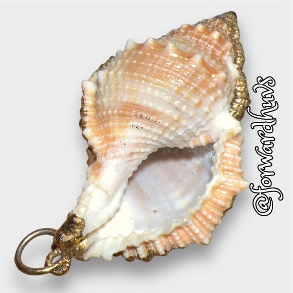 Mini Conch Seashell Pendant with Gold Dip Trim - Picture 6 of 7